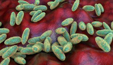 Model #D calculator cu Yestina pestis, bacteria ce cauzează ciuma. Bacteria e verde cu galben, fundaul e roșu, ca țesutul