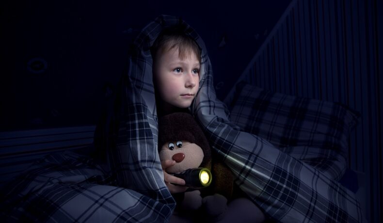 Băiat care se ascunde sub plapumă albastră, în întuneric. Are o lanternă și un animal de pluș