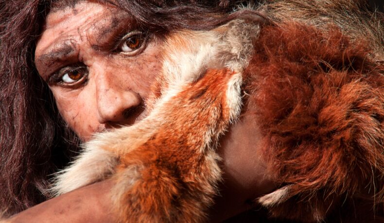 Om de Neanderthal, îmbrăcat în blană de culoare portocalie. Face parte din un grup de oameni antici