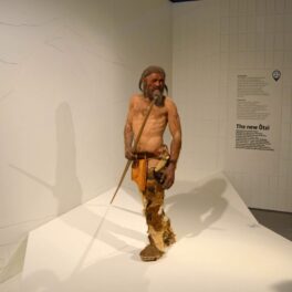 Model făcut după Otzi, Omul Zăpezilor. Cercetătorii au aflat care a fost ultima masă a lui Otzi