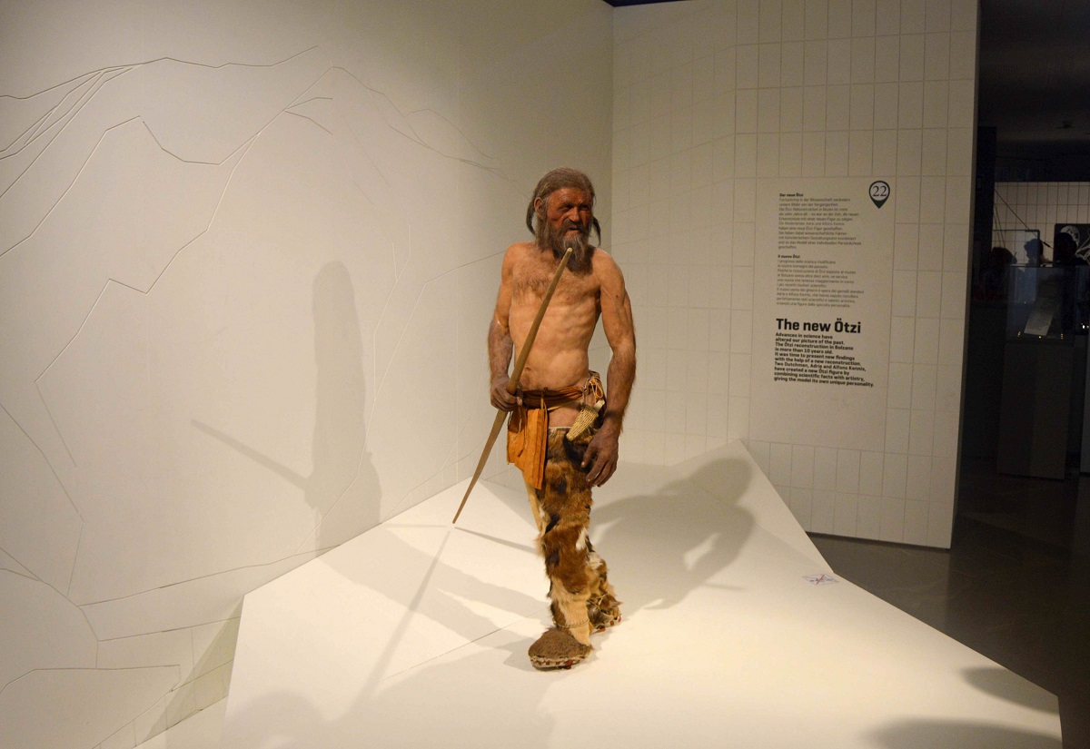 Model făcut după Otzi, Omul Zăpezilor. Cercetătorii au aflat care a fost ultima masă a lui Otzi