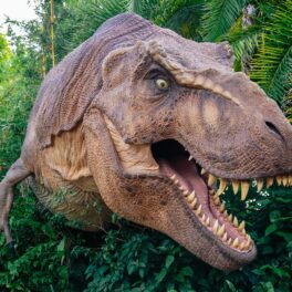 Dinozaur T-Rex care apare din vegetație, cu gura deschisă. El e bej cu maro. Unele lucruri inedite despre dinozauri includ și tiranozaurii