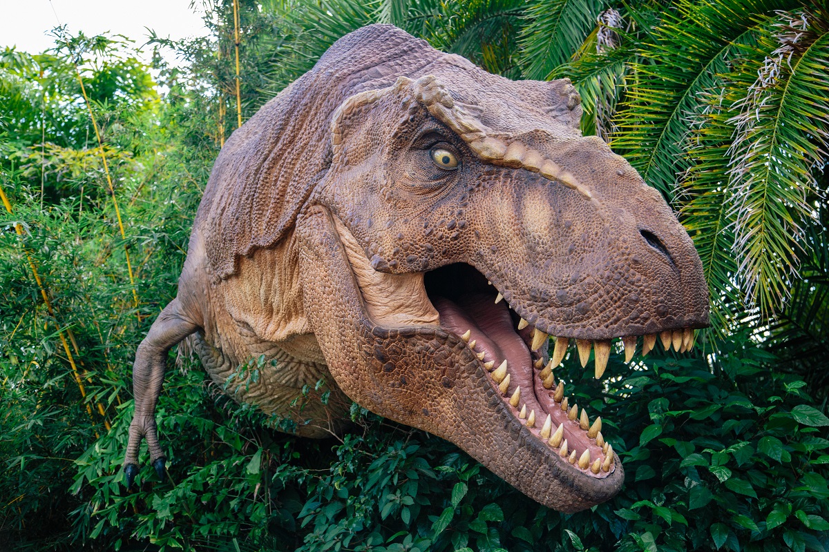 betray mammalian language Lucruri inedite despre dinozauri pe care nu le știai. Câte specimene T-Rex  existau, de fapt - UseIT.ro