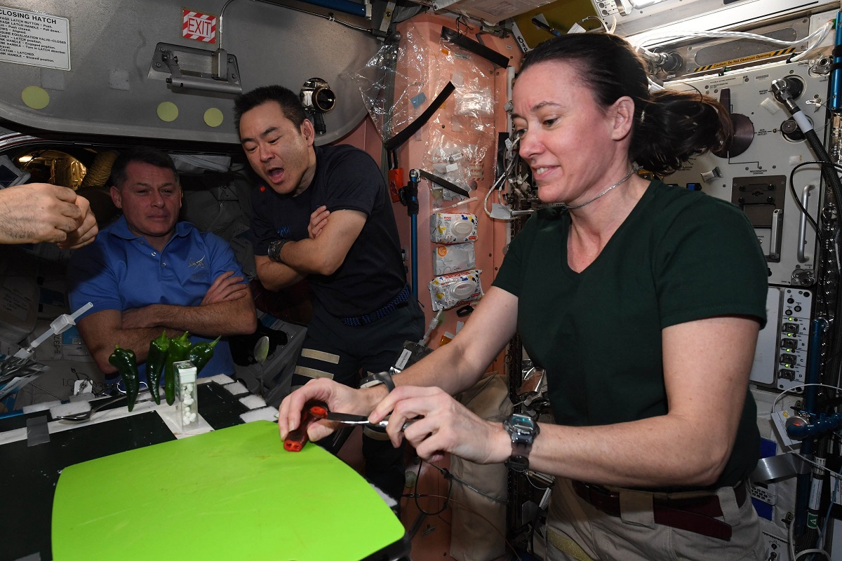 Astronaută, în microgravitație, care degustă adei iuți crescuți pe SSI, cu un tocător verde. Ardeii au fost crescuți în experimentul cu care NASA a doborât două recorduri mondiale