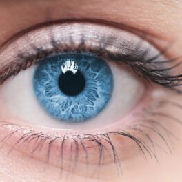 Ochi uman albastru, gene lungi, piele albă. Detaliul din ochi care ar dezvălui vârsta oamenilor a fost descoperit