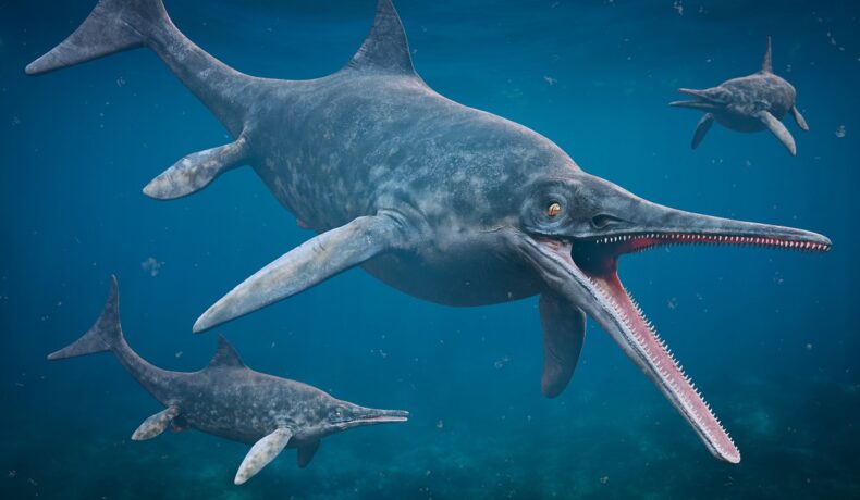 Imagine 3D cu Ichthyosaur stenopterygius, reptilă marină din Triasic, în apă. Experții au descoperit un prădător marin de temut