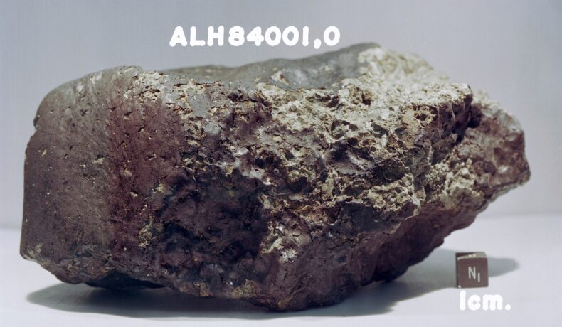 Meteoritul ALH 84001, de pe Marte, în sediul NASA din Houston, pe fundal alb