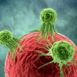 Celulele tumorale canceroase verzi care se prind de o celulă roșie. Experții au descoperit un sistem anticancer, găsit în celulele umane
