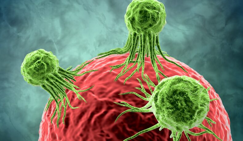 Celulele tumorale canceroase verzi care se prind de o celulă roșie. Experții au descoperit un sistem anticancer, găsit în celulele umane