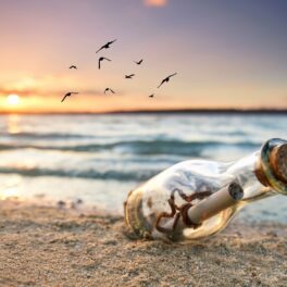 Un mesaj într-o sticlă, pe plajă, cu marea pe fundal, apus și păsări