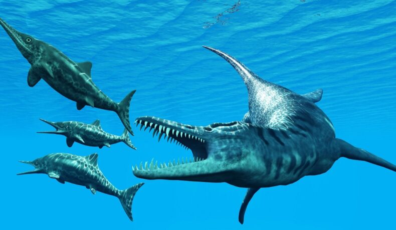 Liopleurodon, considerat dragonul marin enorm, care vânează ihtiozauri