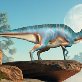 Dinozaur erbivor, pe o rocă, cu o pădure în spate. Fosila unui dinozaur ucis de impactul asteroidului a fost desccoperită