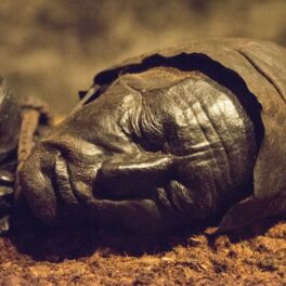 Omul din Tollund, care a fost mumificat natural în mlaștină de turbă, Danemarca. Experții au aflat recent care a fost ultima masă a Omului din Tollund