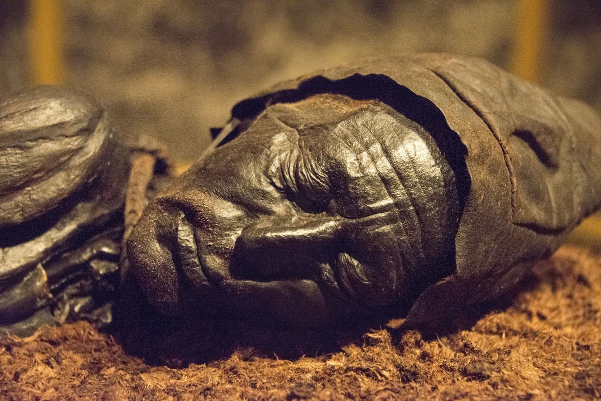 Omul din Tollund, care a fost mumificat natural în mlaștină de turbă, Danemarca. Experții au aflat recent care a fost ultima masă a Omului din Tollund