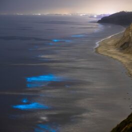 Organismele bioluminescente care au „aprins” plajele din San Diego, California, în 2020, cu stânci în partea dreaptă