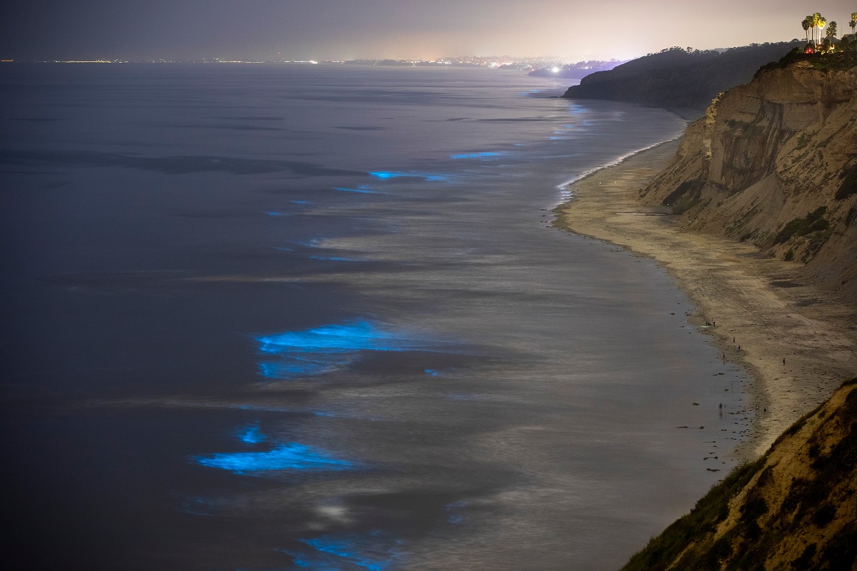 Organismele bioluminescente care au „aprins” plajele din San Diego, California, în 2020, cu stânci în partea dreaptă