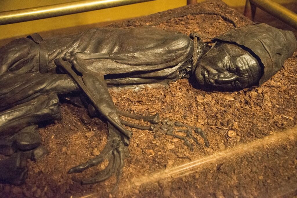 Omul din Tollund, mumie naturală, expus în muzeu din Danemarca