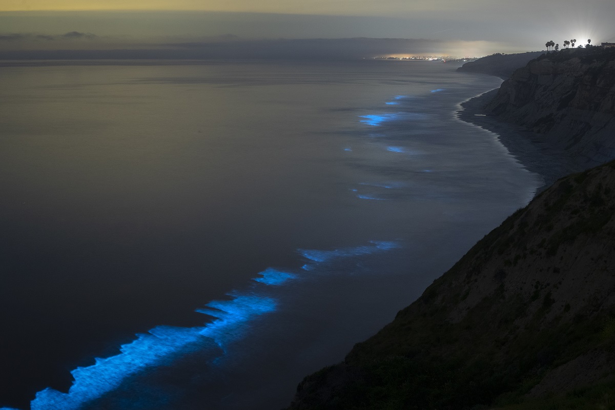 Organisme bioluminescente în La Jolla Shores, cu o stâncă întunecată în partea dreaptă