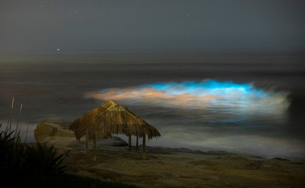 Organisme bioluminescente în San Diego, California, 2020, prinse într-un val