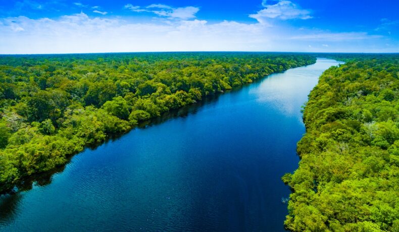 Fluviul Amazon, pete care nu există poduri, o anomalie. Experții au dezvăluit de ce nu există poduri peste Amazon