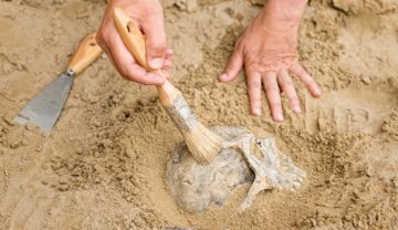 Arheolog care excavează un craniu uman din pământ, la fel precum craniul uman folosit într-un ritual neobișnuit din Suedia