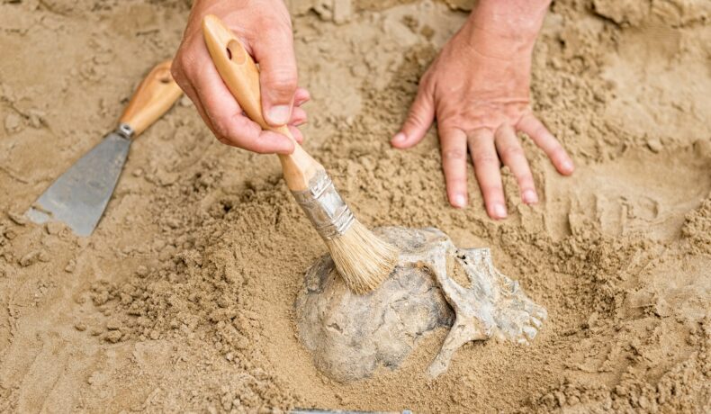 Arheolog care excavează un craniu uman din pământ, la fel precum craniul uman folosit într-un ritual neobișnuit din Suedia