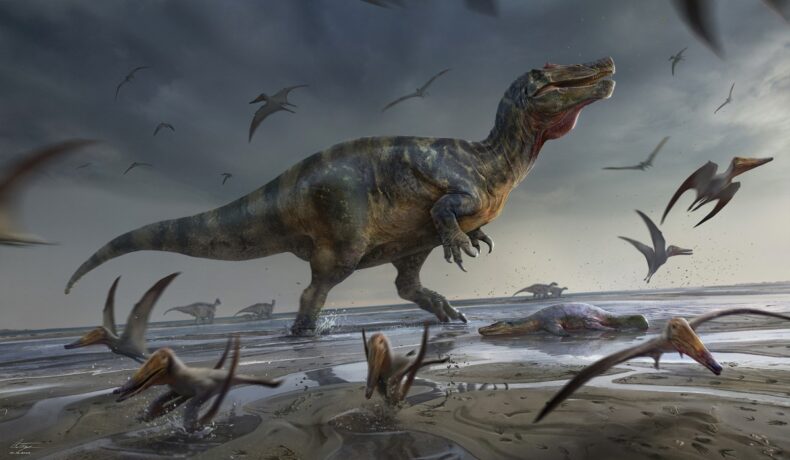 Fosila celui mai mare dinozaur carnivor din Europa, un spinozaur, recreată într-o ilustrație