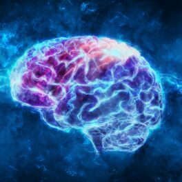 Imagine cu un creier, pe albastru, cu mov în interior. Experții susțin că izolarea socială ar schimba structura creierului