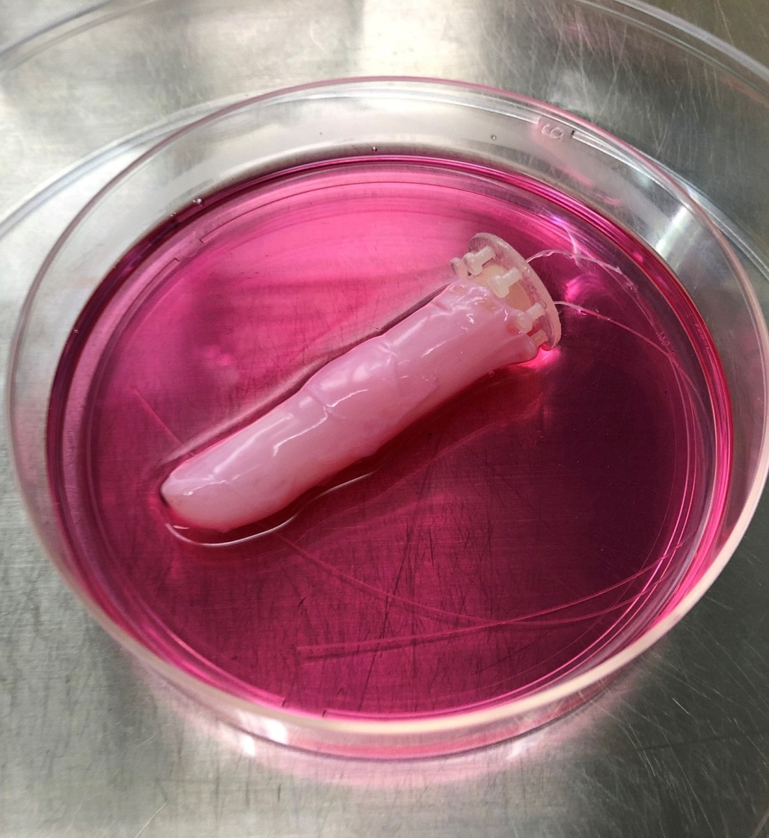 Degetul robot care are piele vie, într-un vas Petri, roz