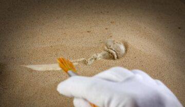 Mâna unui expert care scoate la iveală un os uman, din nisip, similar cu acele fosile inedite din China care au dezvăluit detalii despre evoluția umană