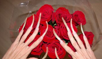 Unghiile unei blogerite, care sunt lungi, deasura unui buchet de trandafiri roșii. Ea nu e femeia cu cele mai lungi unghii din istorie