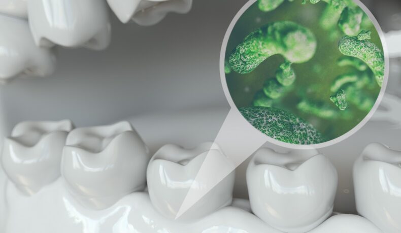 Imagine cu dinți și un ecran cu bacterii verzi. Recent, a fost publicat un studiu despre organismul care se găsește în gura oamenilor