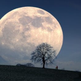 Lună plină mare, pe cer albastru, ca ultima Super Lună a anului 2022