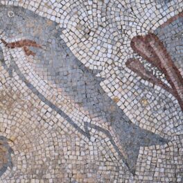 Mozaic din perioada romană, similar cu cel din un oraș roman din perioada imperială