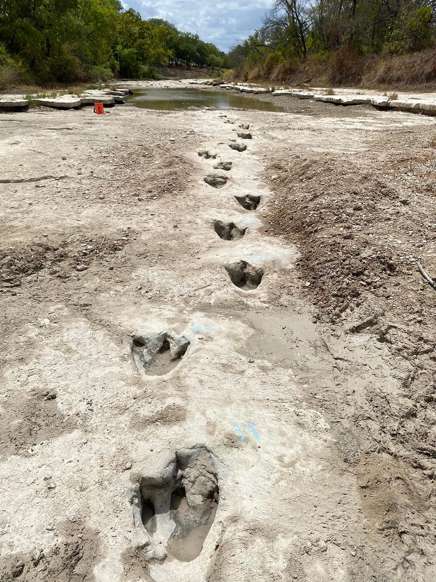 Urme de dinozaur din Texas, în albia unui râu care a secat