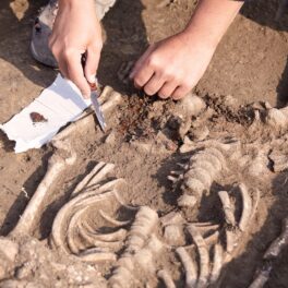 Arheolog care analizează un schelet, similar cu cel în care a fost descoperit operația complexă realizată în Epoca de Piatră