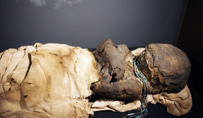 Experții au descoperit recent ce substanță a consumat un copil înainte să fie sacrificat. Mumie copil îmbălsămată, din Peru, expusă în Museum d'histoire Naturelle de Toulouse.