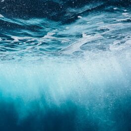 Imagine cu oceanul, din interiorul apei, similară cu locația în care a fost găsită cea mai lungă viețuitoare din lume