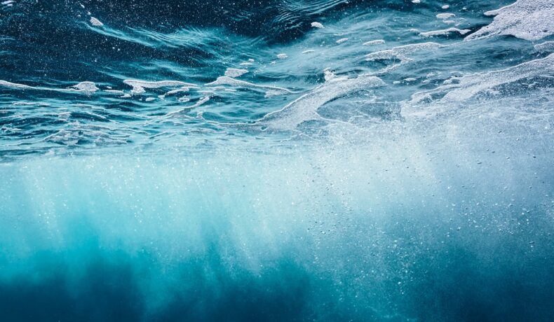 Imagine cu oceanul, din interiorul apei, similară cu locația în care a fost găsită cea mai lungă viețuitoare din lume
