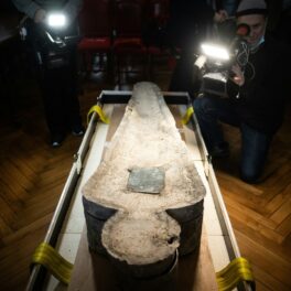 Sarcofag de plumb, fotografiat, descoperit în Notre Dame. Sarcofagele de plumb descoperite în Notre Dame au uimit