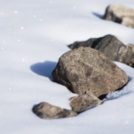 Pietre în zăpadă, similare cu meteoritul care arată ca o piatră
