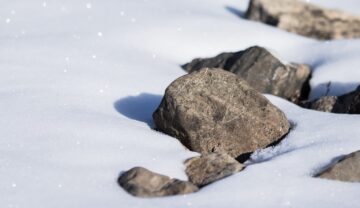 Pietre în zăpadă, similare cu meteoritul care arată ca o piatră