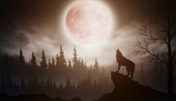 Lună plină, cu un lup care urlă pe o stâncă, pădurea în spate, similară cu Luna Lupului din 2023