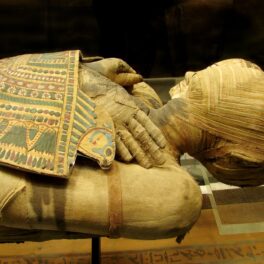 Mumie egipteană, expusă în muzeu. Experții au dezvăluit cum mumificau egiptenii cadavrele în Antichitate