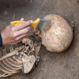 Schelet care e dat cu peria de un arheolog, similar cu această descoperire arheologică inedită în România