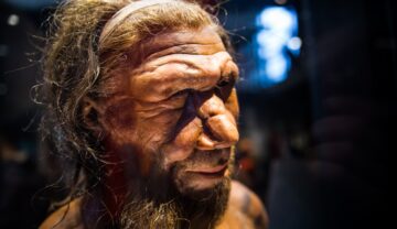 Om preistoric, din muzeu, cu fundal negru, similar cu cele 8 populații europene ascunse până acum