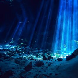 Fundul oceanului adânc, cu lumina care se strecoară, pentru a ilustra peștele care trăiește la o adâncime record