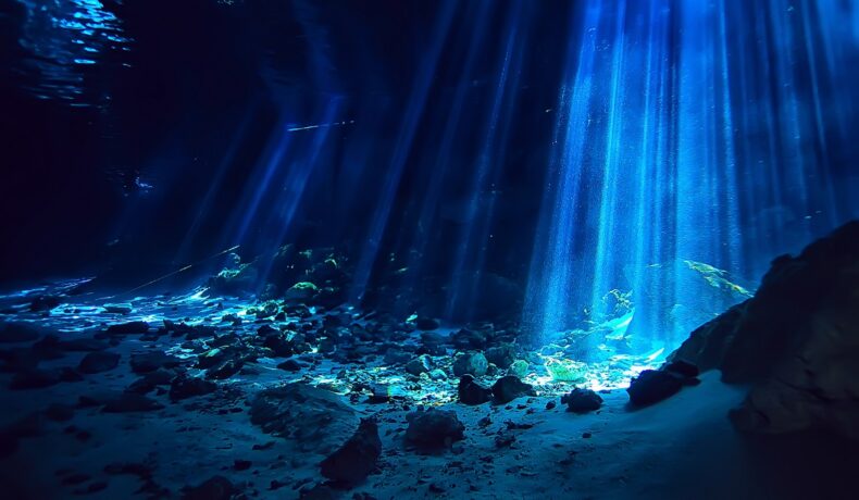 Fundul oceanului adânc, cu lumina care se strecoară, pentru a ilustra peștele care trăiește la o adâncime record