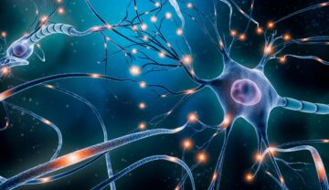 Neuroni din creier, pe fundal albastru, pentru a ilustra un semnal nemaivăzut care a fost descoperit recent