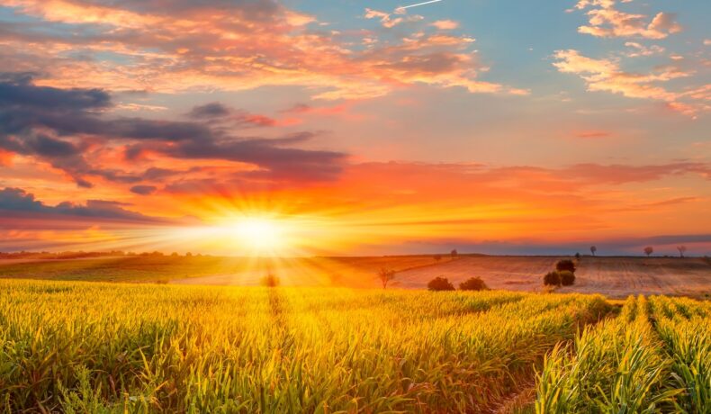 Apus de soare superb, la capătul unui câmp, pentru a ilustra solstițiul de vară 2023